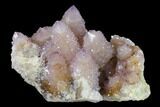 Cactus Quartz (Amethyst) Crystal Cluster - South Africa #137816-1